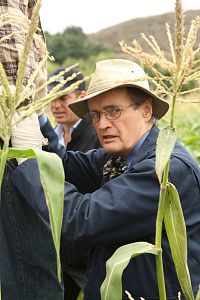 NCIS - Staffel 7.1 [DVD], 5