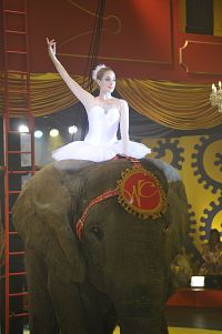 Sophie & Shiba [Blu-ray], 9