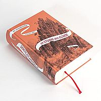 Die Spiegelreisende - Band 4 - Im Sturm der Echos, 4