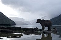 Die grössten Naturereignisse [DVD], 3