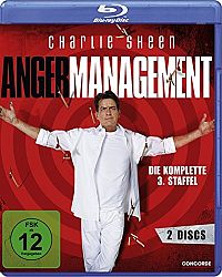 Anger Management - Die komplette 3. Staffel  [Blu-ray], 1
