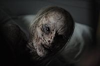 Haunt - Das Böse erwacht [DVD], 5