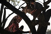 Kleine Helden, grosse Wildnis 2 - Abenteuer Serengeti [DVD], 8