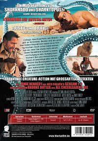 Killer Beach [DVD], 1