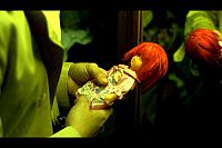 Sleepwalker [Blu-ray 3D], 4