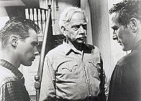 Le plus sauvage d'entre tous [DVD], 3