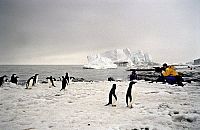 Last Ocean - Paradies am Ende der Welt [Blu-ray], 4