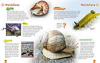 Mein Ravensburger Lexikon der Natur, 3