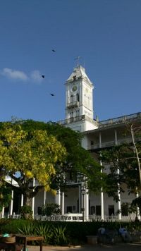 Faszination Insel - Sansibar  [DVD], 2