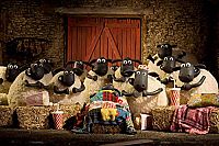 Shaun das Schaf - Best of Drei [DVD], 5