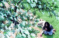 The Roots of Evil [Blu-ray], 4