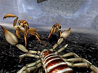 Deadly Creatures [Nintendo Wii], 6