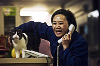 Tao Jie - Ein einfaches Leben [DVD], 2