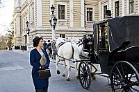 Die Holzbaronin [DVD], 2