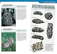 Tierspuren erkennen & bestimmen, 6