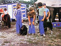 Fünf Freunde [DVD], 4