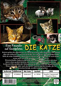 Die Katze - Eine Freundin auf Samtpfoten [DVD], 1