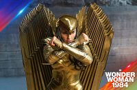 Wonder Woman 1984 [DVD], 5