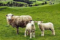 Erlebnis Natur 3D [Blu-ray 3D], 4