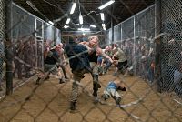 Donnybrook - Below the Belt [DVD], 6