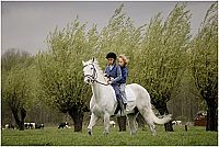 Finn und die Magie der Musik [DVD], 2