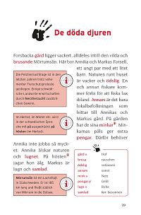 Mordet på fjorden - Schwedisch A1, 3