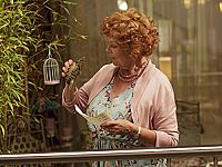 Un amour de tortue [DVD], 8