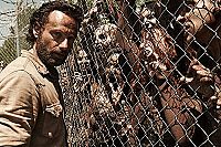The Walking Dead - Saison 4 [DVD], 5