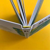 Liebe Kinder oder Zukunft als Quelle der Verantwortung: »Einer der wichtigsten deutschen Philosophen der Gegenwart. « Süddeutsche Zeitung, 4