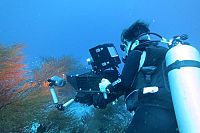 Big Mouth - Mein Freund der Walhai  [Blu-ray], 4