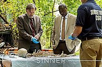 The Sinner - Staffel 1 [DVD], 4