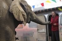 Sophie & Shiba [Blu-ray], 3