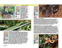 Safari-Reiseführer Ostafrika, 6