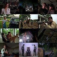 Die Gruft in den Sümpfen [DVD], 1