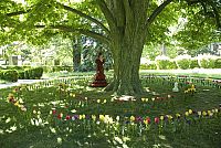 Phoebe im Wunderland [DVD], 6