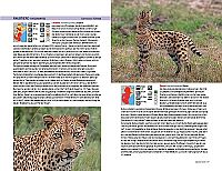 Safari-Reiseführer Ostafrika, 5