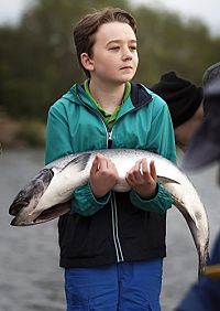 Der Schatz von Walton Island [DVD], 2