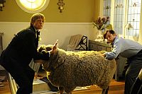 Die Trauzeugen [DVD], 2