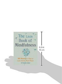 The Little Book of Mindfulness, 8
