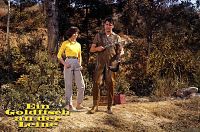 Ein Goldfisch an der Leine [Blu-ray], 8