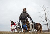 La nouvelle vie de Paul Sneijder [Blu-ray], 2