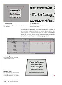 Adobe After Effects 7, 2