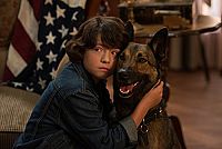 Max - Agent auf vier Pfoten [Blu-ray], 8