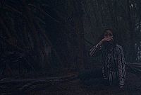 In der Gewalt der Riesenameisen [DVD], 1