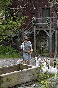 Sechs auf einen Streich - Die drei Königskinder [DVD], 9