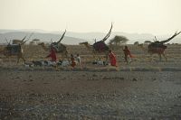 Wüstenblume [DVD], 2