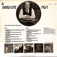 A Bayrische Musi [Vinyl], 1