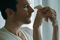 Errors of the Human Body [Blu-ray], 4