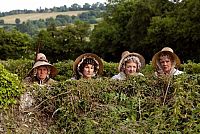 Die Rückkehr nach Cranford [DVD], 3