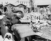 Der Verdammte der Inseln [DVD], 4